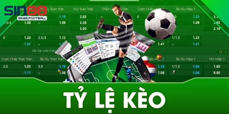 Thông tin cơ bản